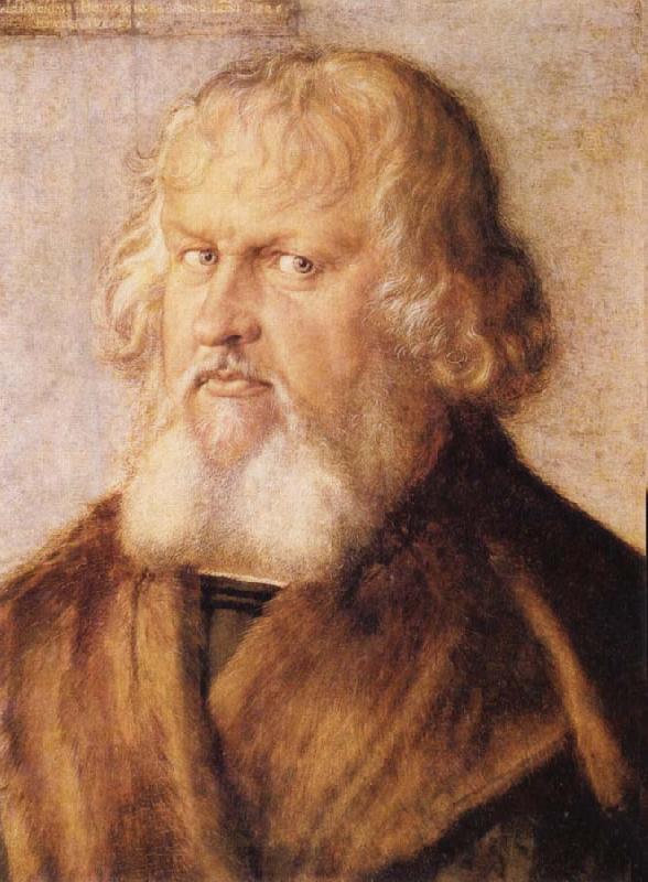 Albrecht Durer Portrait of Hieronymus Holzschuher Germany oil painting art